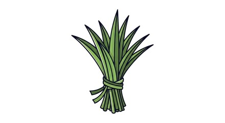 Obraz premium Bundle of Fresh Green Lemongrass Leaves