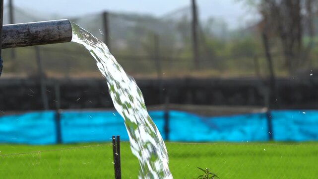 Water flows from a PVC pipe, pumping groundwater to irrigate a vibrant green rice paddy field, showing agricultural technology in a rural Southeast Asian farm landscape with a focus on splash.