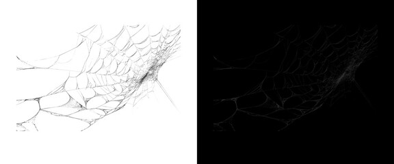 Intricate spider web texture on white and black background, delicate cobweb pattern for spooky halloween design, fragile silk threads overlay