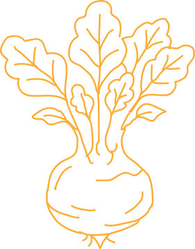 Kohlrabi	minimal vector outline, Turnip Root Vegetable Icon, Fresh Organic Garden Produce Outline, Healthy Farm Crop Vector Illustration