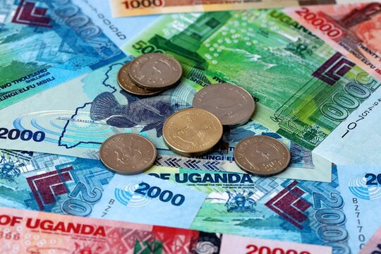 Ugandan shilling money banknotes and coins on table. Uganda cash bills of UGX currency