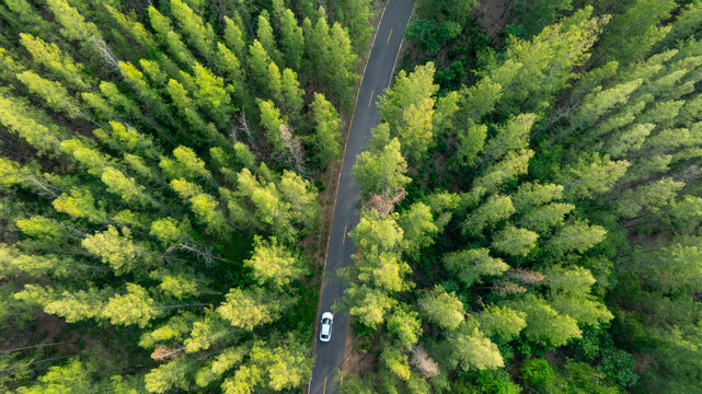 Aerial view of dark green forest road and white electric car Natural landscape and elevated roads Adventure travel and transportation and environmental protection concept	
