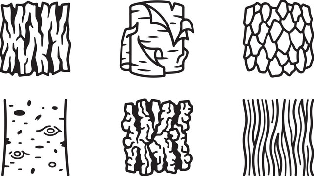 Six types of wood grain and bark textures illustration Vector