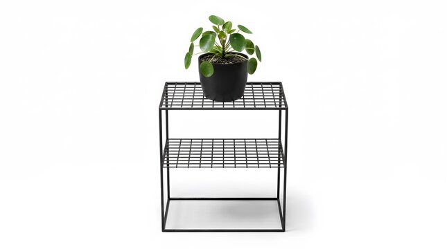 Modern black metal grid side table with a pilea peperomioides plant in a dark ceramic pot