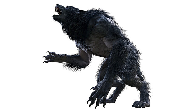 Werewolf creature roaring with sharp claws and dark fur