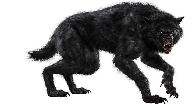 Fierce black werewolf with sharp teeth and claws snarling