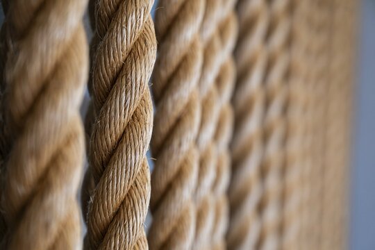 Close-up of several twisted thick ropes hanging close together, Strandingsmuseum St. George, North Sea coast, Thorsminde, Denmark