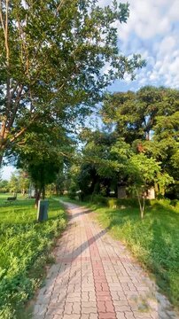 POV Walk Along Scenic Park Trail Under Blue Sky and Trees