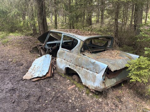 Rusted old car in thick forest surrounded by moss and leaves, Ryd, Kyrk&ouml; Mosse car cemetery, Tingsryd, Sweden