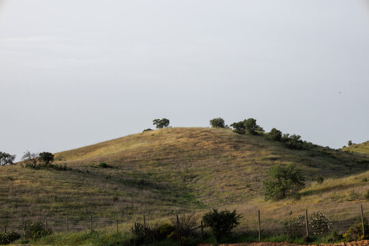 Alentejo rolling hills landscape during springtime