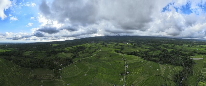 Aerial view panorama of Tegallalang rice terraces, Bali, Indonesia