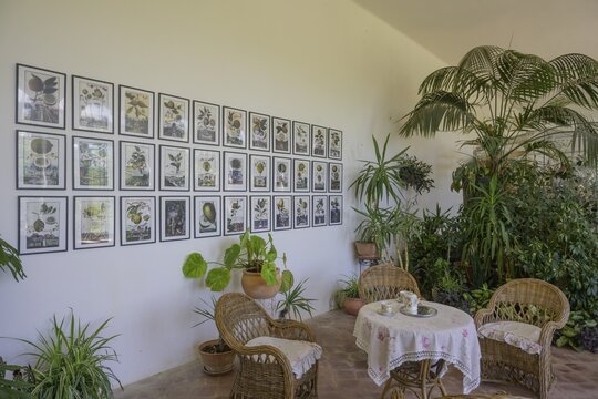 Seating group in the orangery in the castle, Milotice u Kyjova, South Moravian Region, Czech Republic