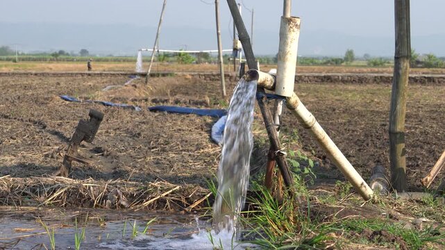 Water flows from a PVC pipe, pumping groundwater to irrigate a vibrant green rice paddy field, showing agricultural technology in a rural Southeast Asian farm landscape with a focus on splash.