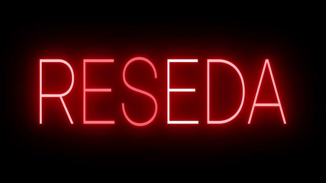Red Neon RESEDA Sign Flickering on Black Background