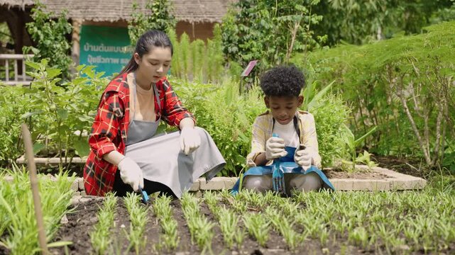 Asian girl and African boy little ethnic diversity students wearing apron are sitting and using a shovel to loosen the soil in the organic vegetable seedling plot while studying agriculture in school.