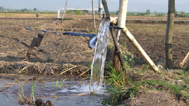 Water flows from a PVC pipe, pumping groundwater to irrigate a vibrant green rice paddy field, showing agricultural technology in a rural Southeast Asian farm landscape with a focus on splash.