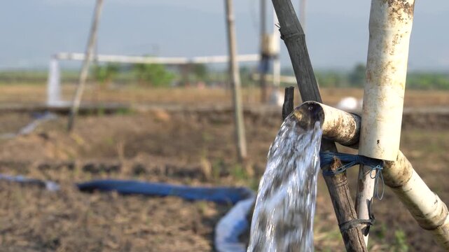 Water flows from a PVC pipe, pumping groundwater to irrigate a vibrant green rice paddy field, showing agricultural technology in a rural Southeast Asian farm landscape with a focus on splash.