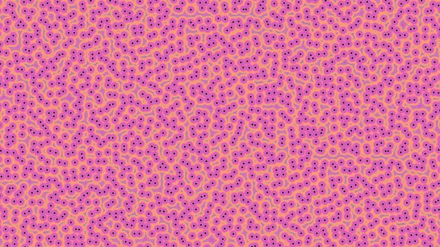 Generative Cellular Automata Sunset Fluid Wave Animation Loop