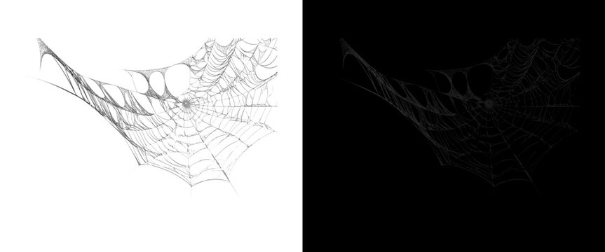 Spooky cobweb design element on white and black backgrounds, intricate spider web pattern, realistic torn spiderweb for Halloween decor and horror themes