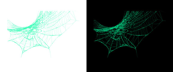 Naklejka premium Ethereal green spider web on black and white backgrounds, intricate glowing cobweb structure, spooky organic silk texture for Halloween design