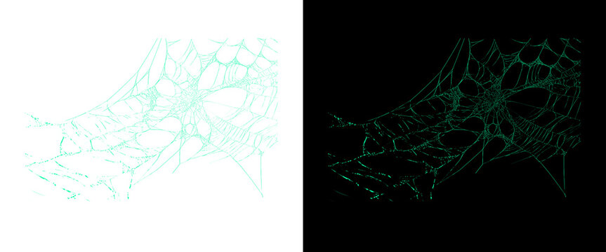 Abstract spider web texture in teal and mint green, intricate cobweb pattern on white and black backgrounds, organic net structure for spooky design