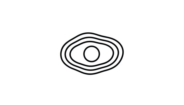 Abstract concentric circular lines drawing representing natural wood grain texture, tree rings, or water ripple pattern.