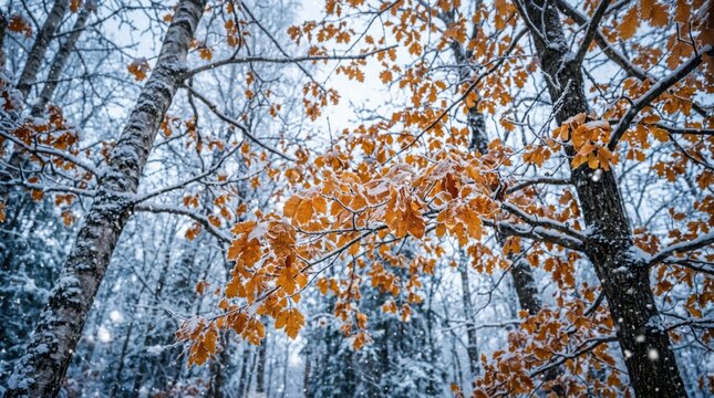 Autumn forest with golden leaves on birch trees. Sunlit woodland scene showcasing vibrant fall foliage and natural seasonal beauty.
