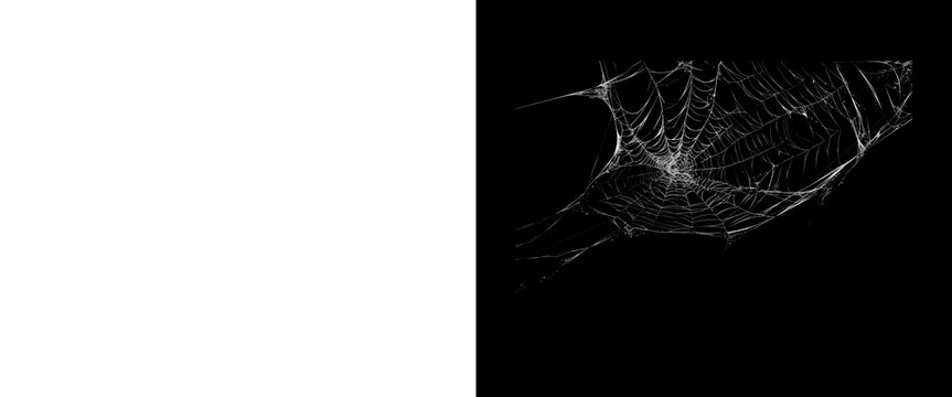 Spooky spider web on black background, realistic cobweb texture for Halloween design, white silk spiderweb overlay for horror and mystery concepts