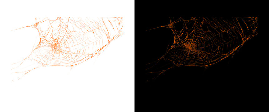 Spooky orange spider web textures, creepy cobweb design elements on white and black backgrounds, halloween decorative spiderweb overlays