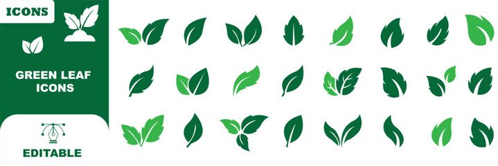 Obraz premium Leaf sprout icon vector set, green leaves plant eco logo symbol simple graphic illustration set, vegan fresh herb pictogram shape sign, organic natural healthy logotype eps 10