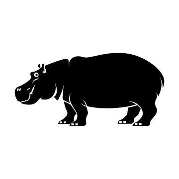 rhino vector illustration