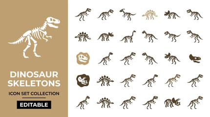 Dinosaur skeletons and fossils icon set collection for paleontology © Lunar Studio