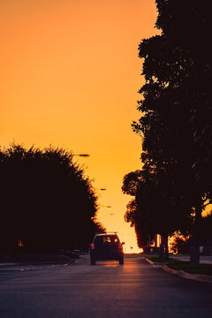 A lone vehicle traveling along a quiet treelined street beneath a brilliant orange sunset framed by dark silhouetted trees, Cobden, Victoria, Australia