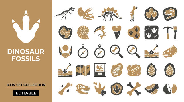 Paleontology icons featuring dinosaur fossils bones and tools