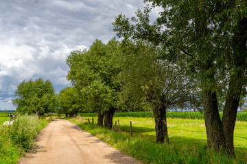 Uroki lata nad rzeką Narwią, Podlasie, Polska