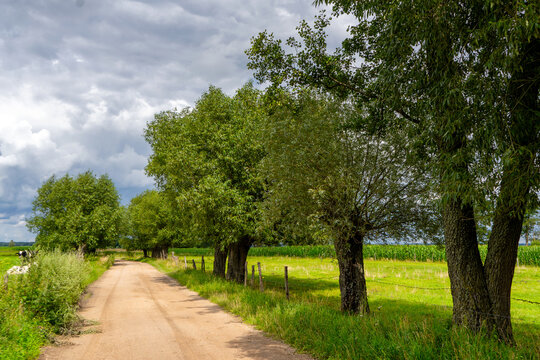 Uroki lata nad rzeką Narwią, Podlasie, Polska