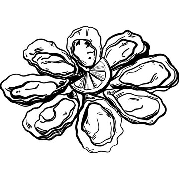 Oyster Shell Floral Composition Line Art