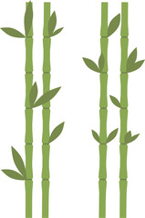 Obraz premium Elegant Bamboo Branch with Green Leaves Isolated on White Background Vector Illustration for Zen Nature Asian Botanical Decoration Design