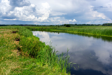 Uroki lata nad rzeką Narwią, Podlasie, Polska © podlaski49