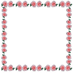 Fototapeta premium Minimalist blooming rose floral border rectangle frame isolated.