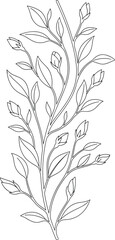 Fototapeta premium Hand Drawn Floral Branch Outline Vector with Leaves and Flower Buds Botanical Line ArtHand Drawn Floral Branch Outline Vector with Leaves and Flower Buds Botanical Line Art