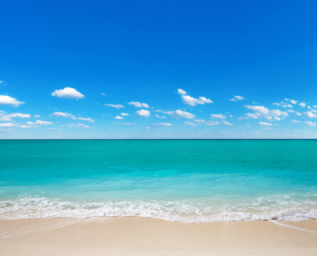 Beach landscape. beautiful blue caribbean sea beach