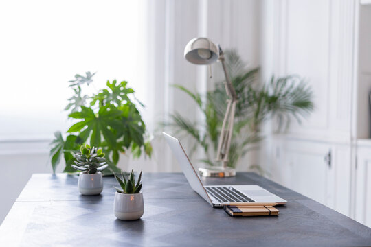 Interior of a modern coworking space