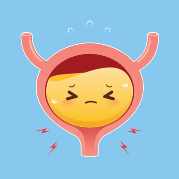 Cute cartoon illustration of an inflamed bladder with urine, painful facial expression, sweat drops, and pain symbols on a blue background.