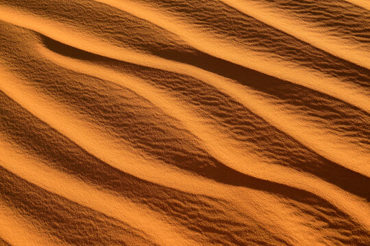 Africa, Algeria, Sahara, ripple marks, texture on a sanddune
