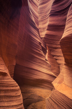 USA, Arizona, Page, Rattlesnake Canyon