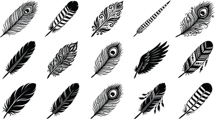Collection of fifteen different black feather silhouettes featuring various patterns, shapes, and intricate details on a white background © hr graphics
