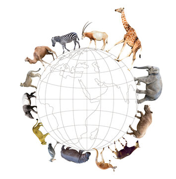 Various animals living together on Earth.