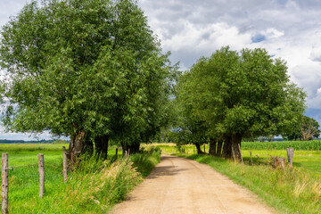 Uroki lata nad rzeką Narwią, Podlasie, Polska © podlaski49