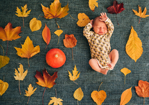 Newborn baby between autumnal leaves